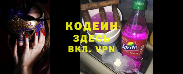 хмурый Белокуриха