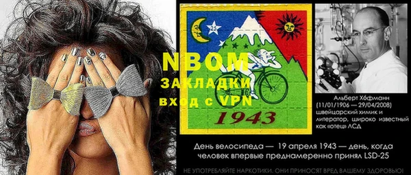 хмурый Белокуриха