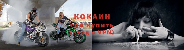 хмурый Белокуриха