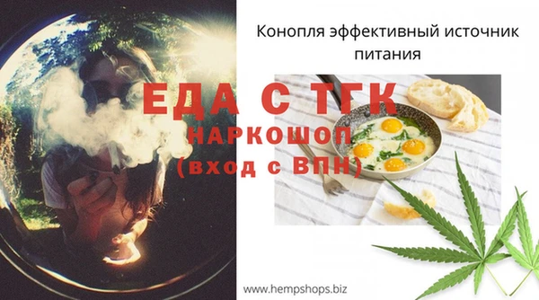 хмурый Белокуриха