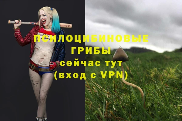 трава Армянск