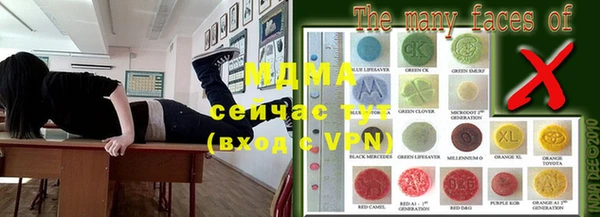 хмурый Белокуриха