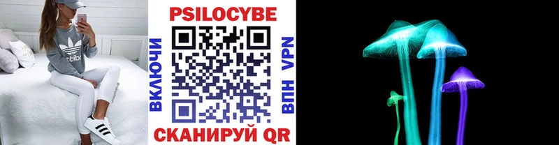 продажа наркотиков Афипский Псилоцибиновые грибы Psilocybe