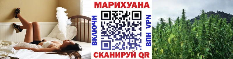 купить Афипский Конопля Amnesia